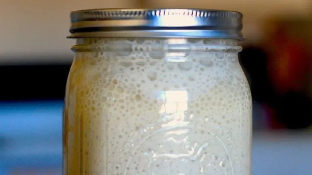 Fermento feito em casa