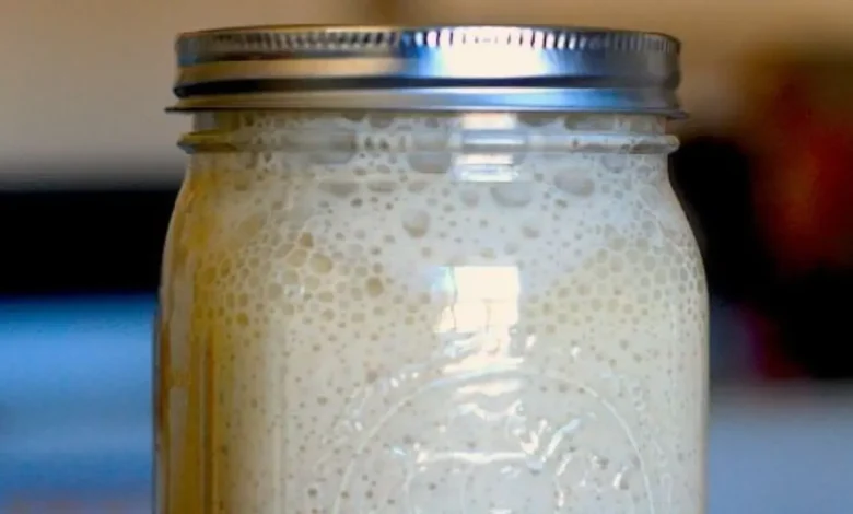 Fermento feito em casa