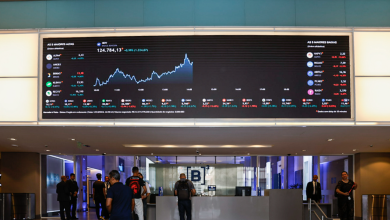 imagem_2025-08-07_134247806