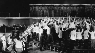 imagem_2025-08-07_135654772