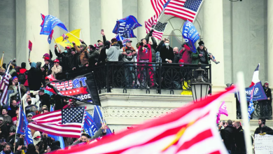 imagem_2025-08-07_161020457